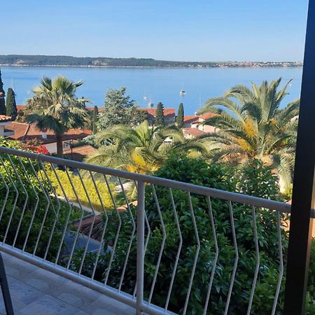 Apartma Ursa بورتوروز المظهر الخارجي الصورة